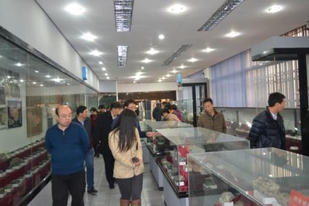 与会老师参观果冻传媒
地质博物馆.JPG